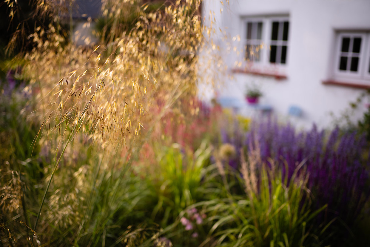 Think about grasses for your Front Garden.